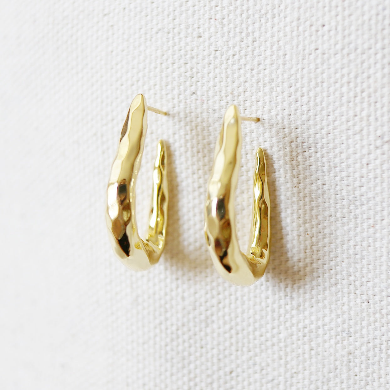RELIC HOOP EARRINGS