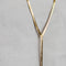 Anya Y Necklace