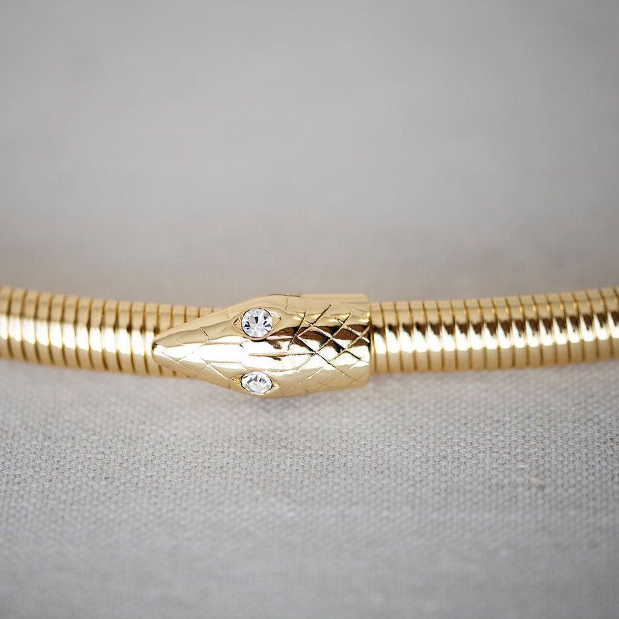 Snake Belt